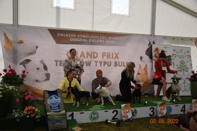 piest4 28